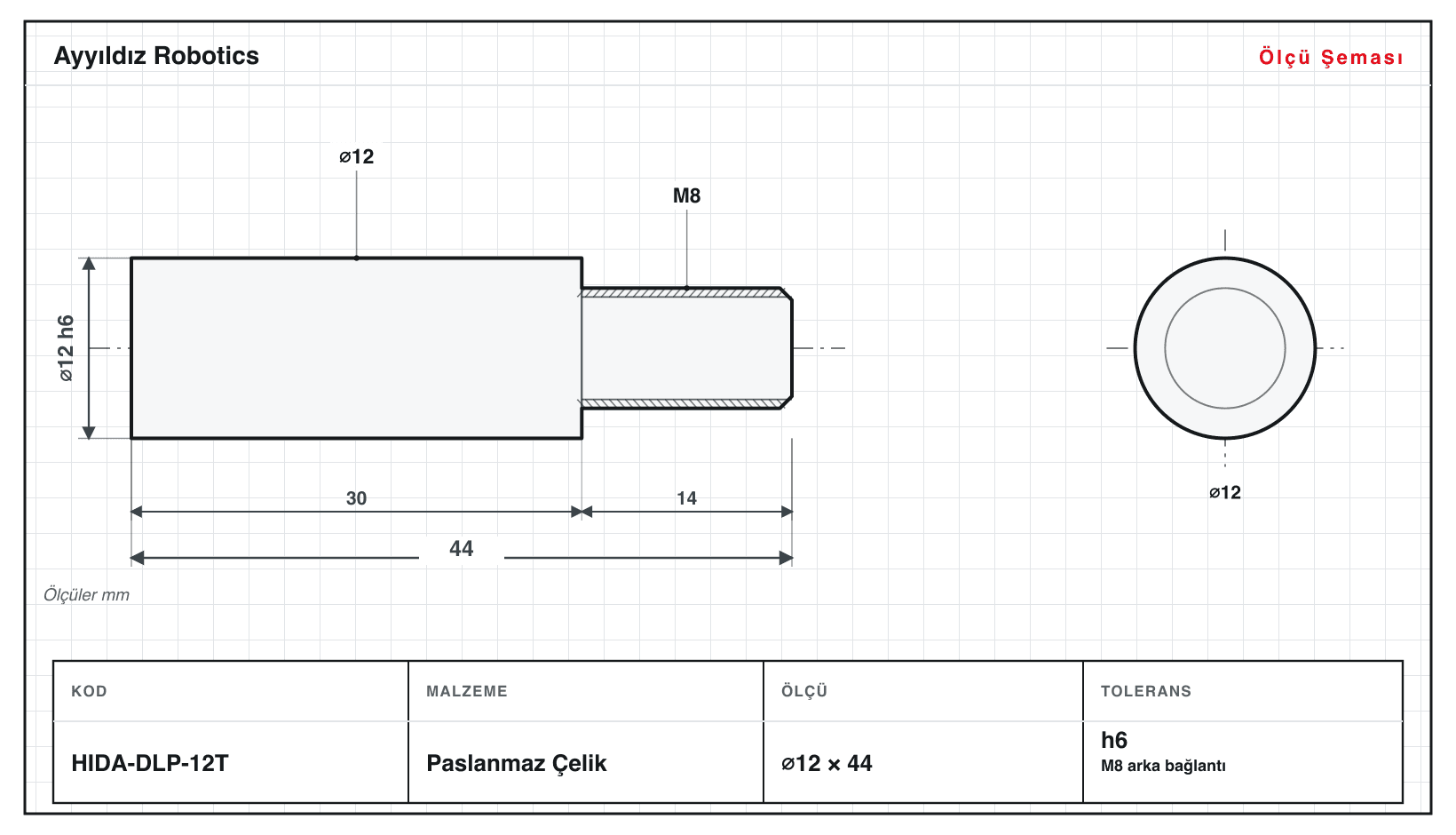 Dalıcı Piston ölçü şeması
